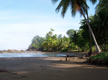 Beach at Coconut Grove